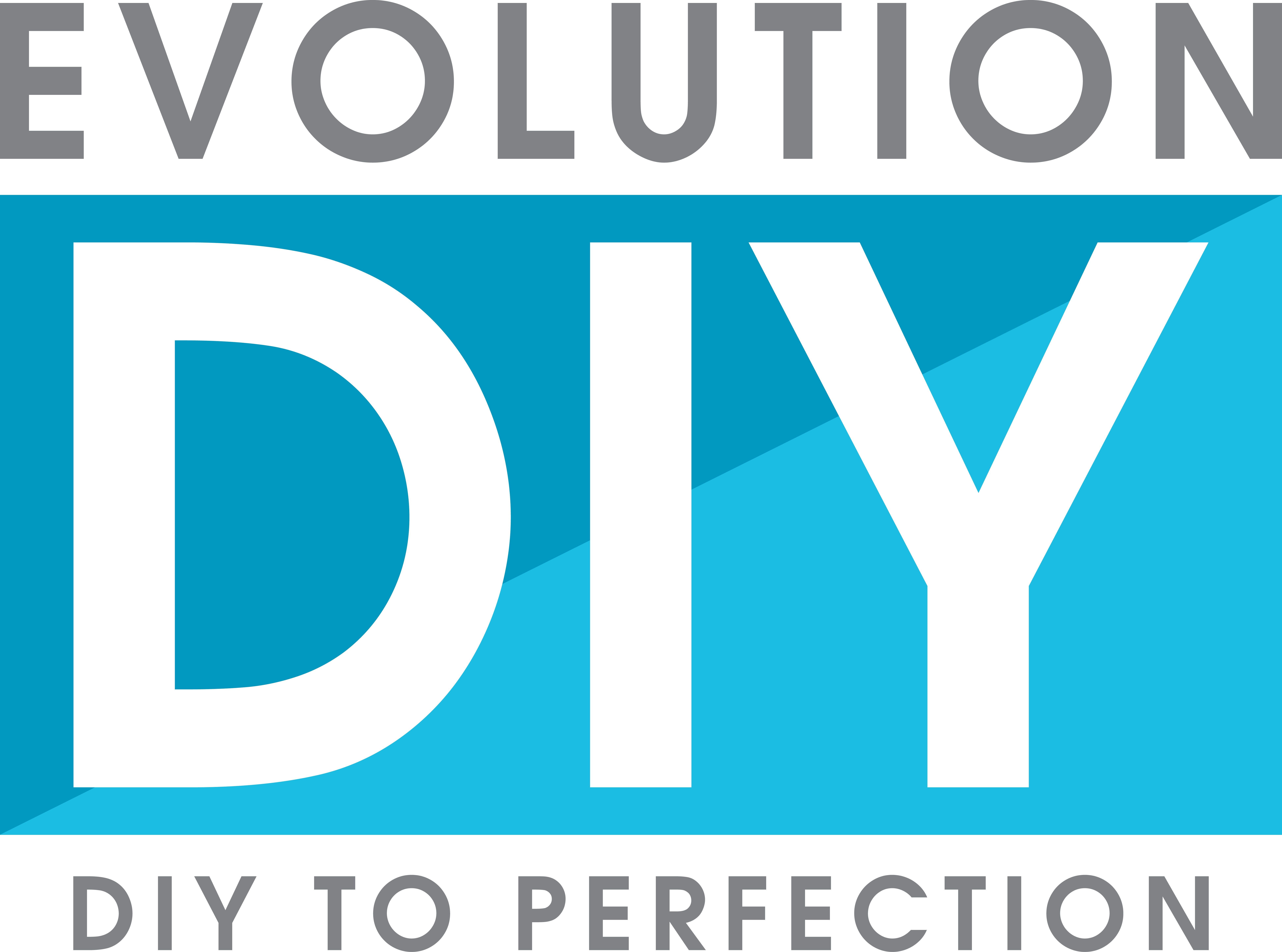 EvolutionDIY - DIY to Perfection